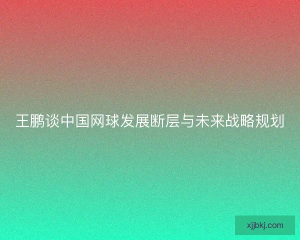 王鹏谈中国网球发展断层与未来战略规划