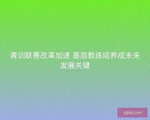 青训联赛改革加速 基层教练培养成未来发展关键